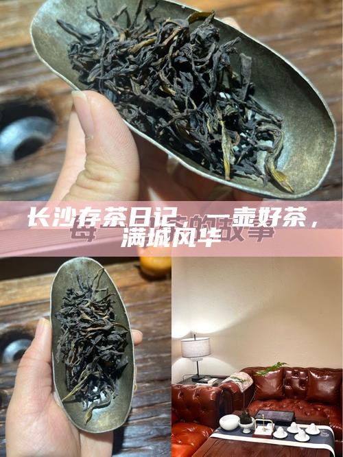 长沙存茶日记，一壶好茶，满城风华